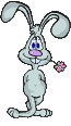 RABITFLOWERgif