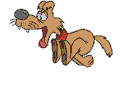 DOGRUN.gif, 13 kB