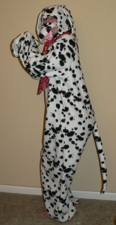 DALMATION.JPG, 41 kB