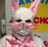 RABBITlogo.JPG, 3 kB