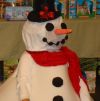 SNOWMANlogo.JPG, 3 kB